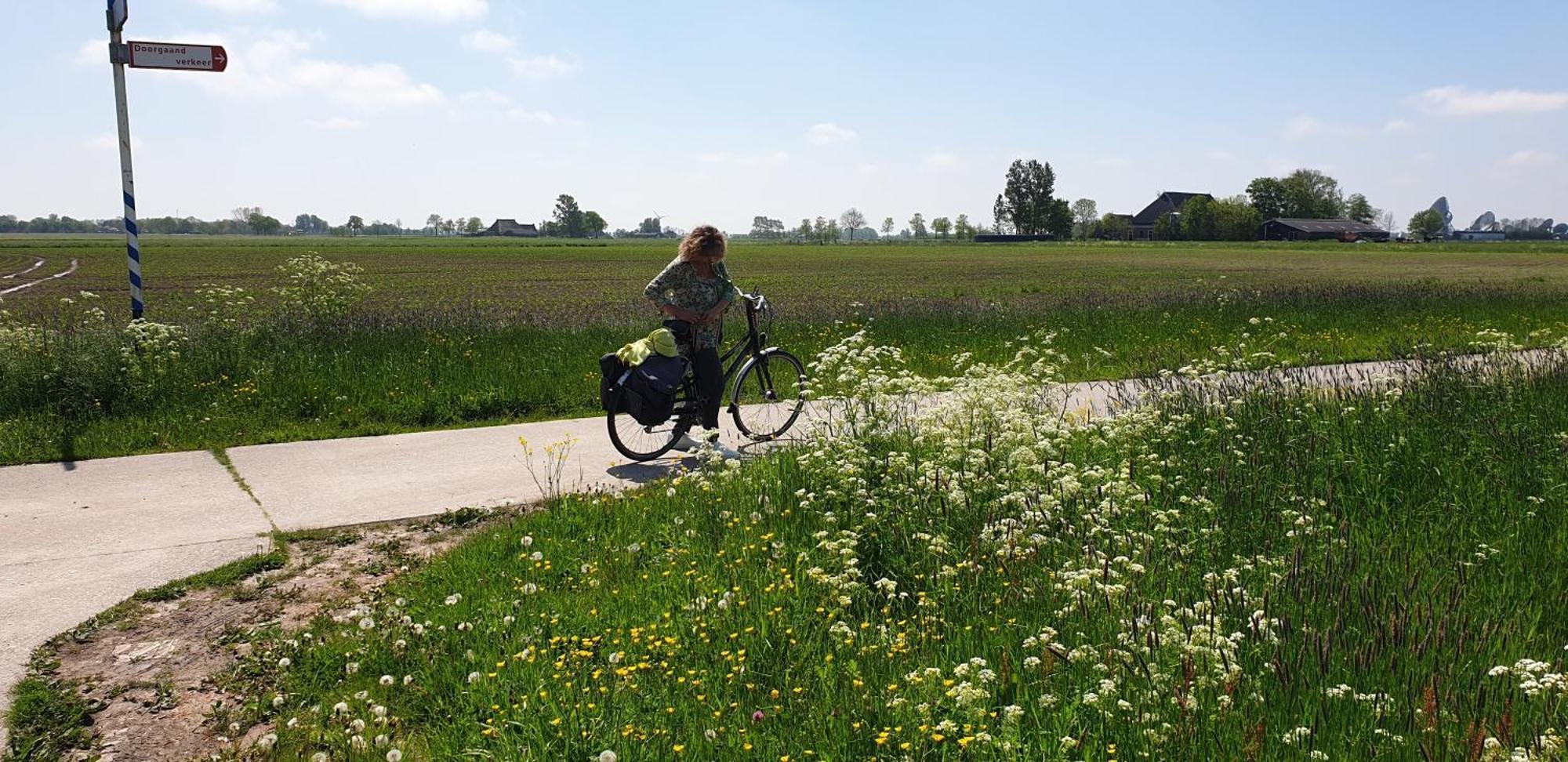 Bnb-Heirhuys Visvliet エクステリア 写真