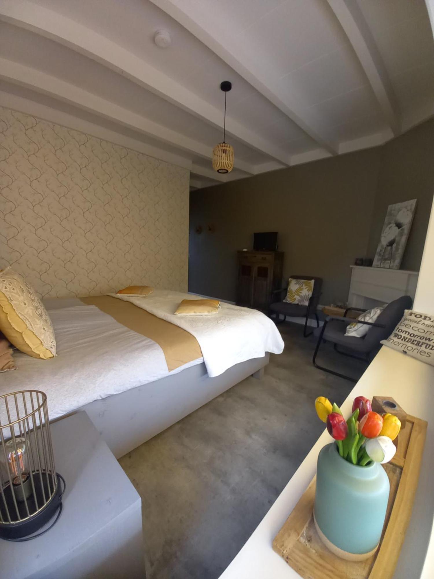 Bnb-Heirhuys Visvliet エクステリア 写真